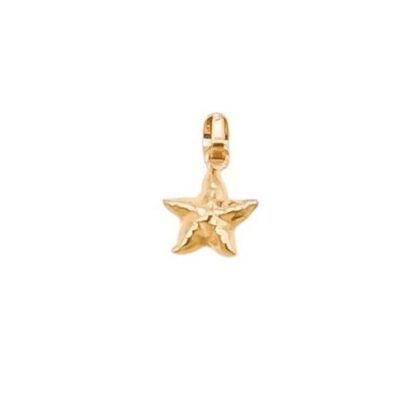 پلاک طلا ستاره دریایی