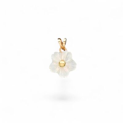 پلاک طلا گل صدفی